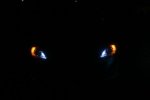 user1027_pic655_1249441556.jpg