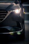 mazda_cx-9_2015_detail_01_screen.jpg