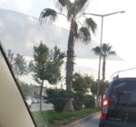 20170328_175634.jpg
