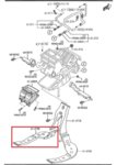 3B27501.jpg
