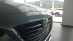 WP_20170415_16_28_49_Pro.jpg