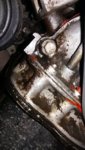 IMG-20170619-WA0005.jpeg