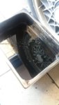 IMG-20170620-WA0011.jpeg
