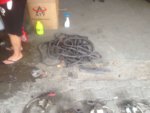 IMG-20170821-WA0002.jpg IMG-20170821-WA0002.jpg