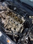 IMG-20171016-WA0007.jpg