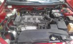 IMAG0067.jpg