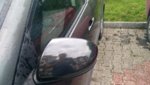 P_20180520_083003_vHDR_On.jpg