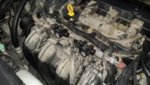 20160531_110357.jpg