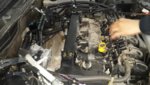 20160531_113255.jpg