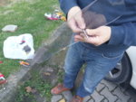 IMAG0167.jpg