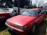 20190402_114039.jpg