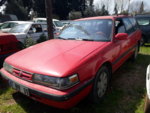 20190402_114152.jpg
