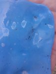IMG_20160901_105207.jpg
