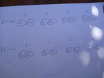 IMG_20190707_100320.jpg