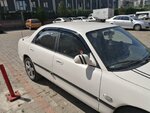 IMG_20190908_134848.jpg