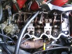 IMG_20200510_160405.jpg