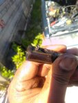 IMG_20200510_150301.jpg