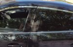 IMG_20201018_150804.jpg