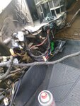 IMG_20201019_092854.jpg