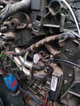 IMG_20201019_092841.jpg