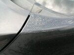 IMG_20200921_154524.jpg