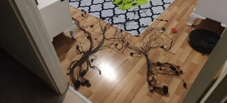 IMG_20211126_211618.jpg