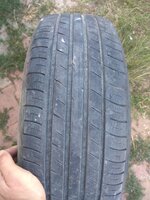 IMG_20220908_173419.jpg