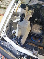 IMG_20230711_115156.jpg