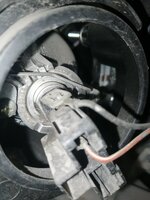 IMG_20230831_225558.jpg