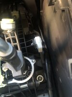 IMG_3709.jpeg