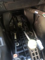 IMG_3710.jpeg