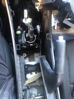 IMG_3711.jpeg