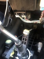 IMG_3716.jpeg