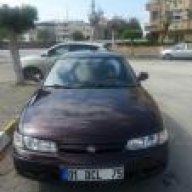 tween_91