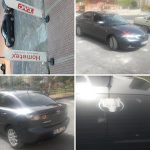 Cicegi burnunda mazdaci