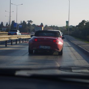 IMGP2043