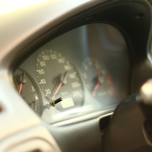 Speedy Gonzales 48