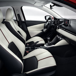 mazda 2 dj interior (4).jpg
