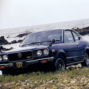 rx-3 savanna (5).jpg