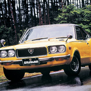 rx-3 savanna (10).jpg