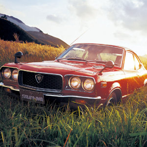 rx-3 savanna (11).jpg