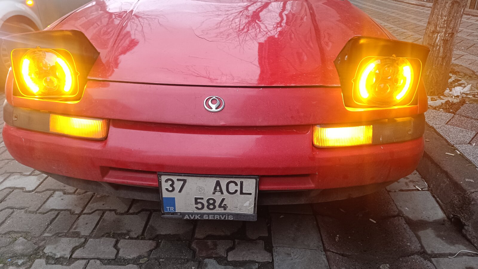 1000050507.jpg