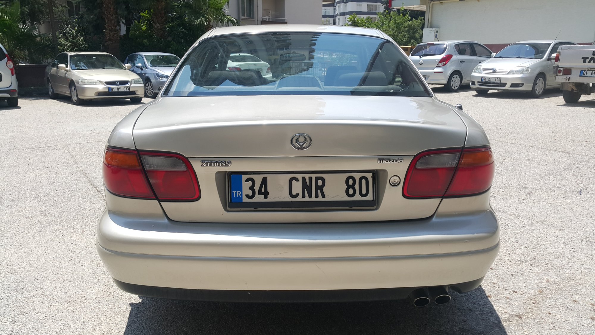 05.jpg