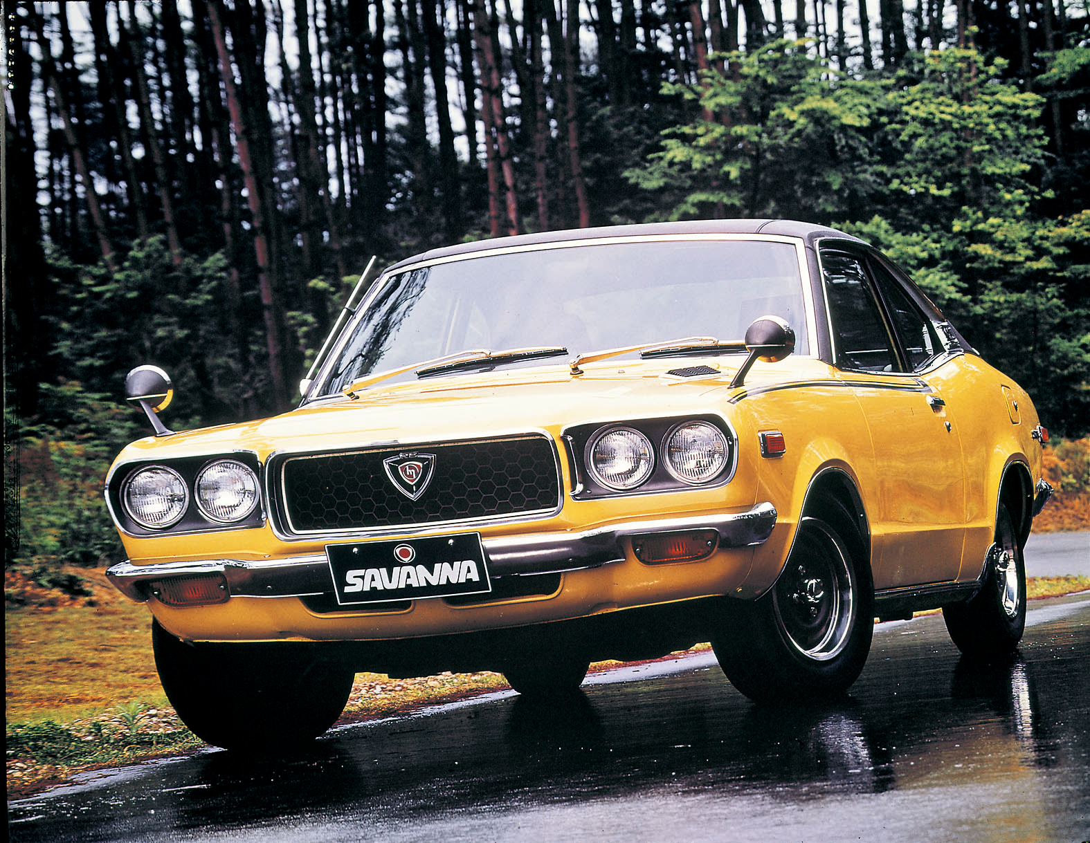 rx-3 savanna (10).jpg