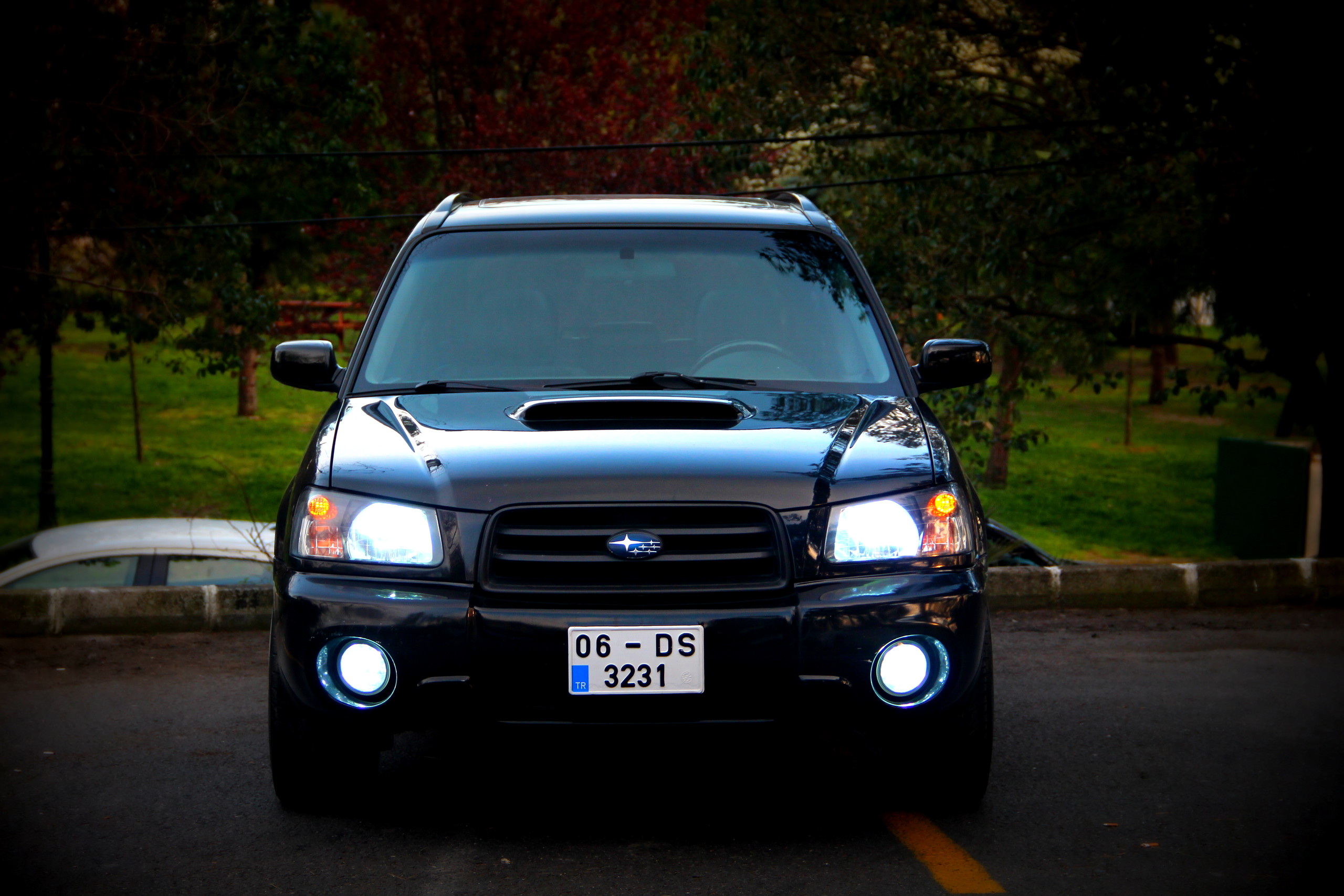 P59n08.jpg
