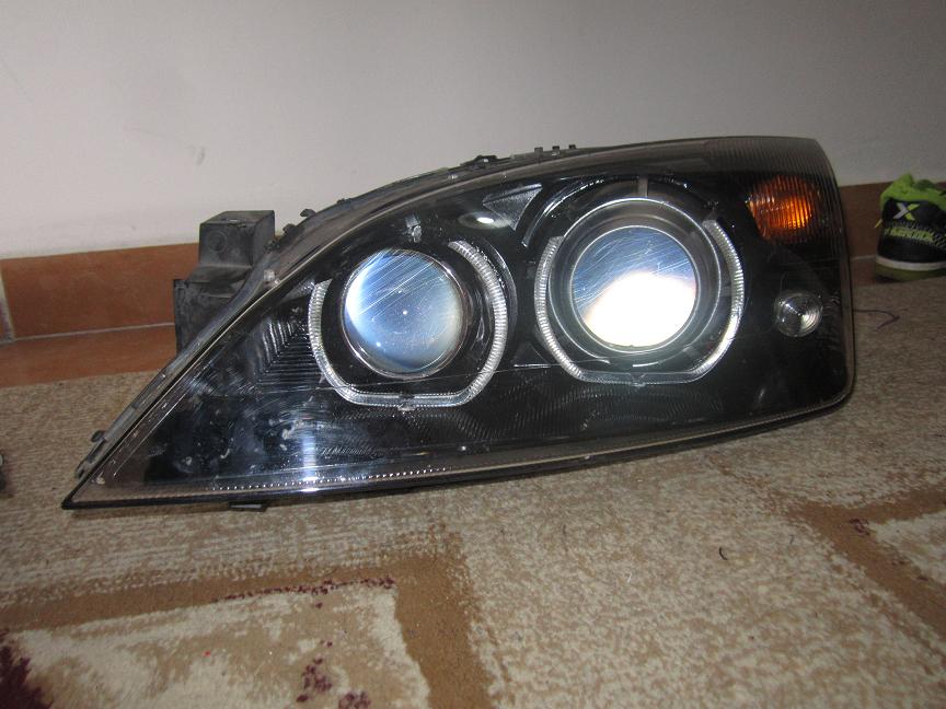 seg342a.jpg